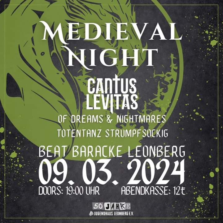 Medieval Night Flyer